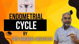 Endometrial cycle Anatomy and Hormonal Regulation  Female Reproductive Cycle [upl. by Eiramac]