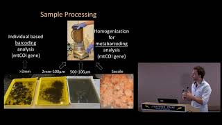 DNA barcoding and metabarcoding reveal diversity in cryptic benthic communities [upl. by Fernand995]