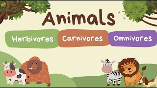 Animals  herbivore carnivore and omnivores quiz [upl. by Yreva924]