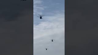 6 chinooks helicopters flying over and landing at lydd airport [upl. by Ilegna]