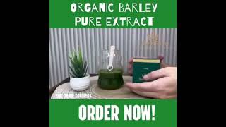 Barley Pure Organic Extract Now Available in Zynergia [upl. by Haily38]