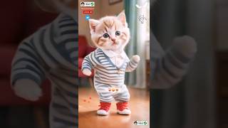 Cat dance Cute kitten 🖤 catlovecats cats catvideos kittenscatlover princesscat kitten [upl. by Kondon433]