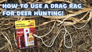 The BEST way to use a drag rag for deer hunting [upl. by Eadrahs985]