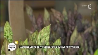 Asperge verte de Provence  une douceur printanière [upl. by Roldan]