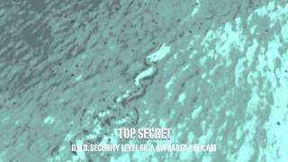 GIANT SEA CREATURE  CAUGHT ON TAPE [upl. by Bernstein]