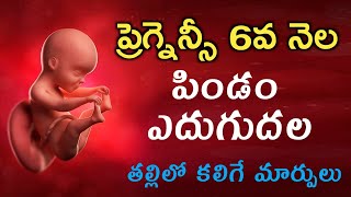 ప్రెగ్నెన్సీ 6వ నెల లక్షణాలు శిశువు ఎదుగుదల  Pregnancy 6th month  Telugu  baby growth movements [upl. by Yevre]