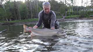 Pêche au Saumon rivière bonaventure Gaspésie Québec [upl. by Akiner]