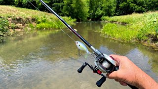 Fishing Big Lures in a Small Creek [upl. by Sharman159]