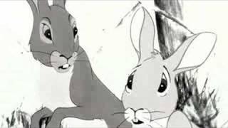 Watership Down  Tribute To Fiver [upl. by Golliner]