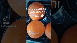 Frutta di cachi [upl. by Licastro]