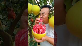 Injoy the world best Nature fruits shorts trending fruits [upl. by Adnohsor]