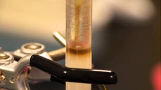 Anion Exchange Chromatography  separating haemoglobin and catalase [upl. by Neelcaj]