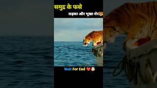 समुद्र में फसे लड़का और भूखा शेर🐯Hollywood Movies explain shorts tiger hindi shorts [upl. by Sugden]