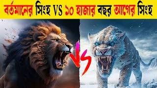 ইতিহাসের সবচেয়ে ভয়ঙ্কর দুইটি প্রাণীর লড়াই  SaberToothed TigerSmilodon vs Barbary Lion [upl. by Jeramey]