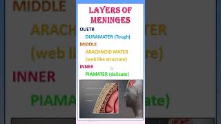 TIPS 26 COVERING OF BRAIN  LAYERS OF MENINGES [upl. by Asiralc]