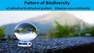 Pattern of Biodiversity [upl. by Anitserp5]