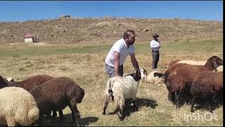 Muş Varto İskender Köyü [upl. by Arabrab540]