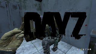 DAY Z Sakhal Adventures Day 25 🔴 LIVE 1440p [upl. by Annaesor]