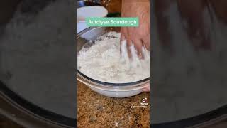 Part 2  Autolysing  Sourdough Bread Easy Recipe [upl. by Akinot570]