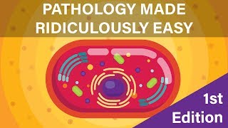 Pathology Made Ridiculously Easy  1st Edition  Digital Book [upl. by Vine861]