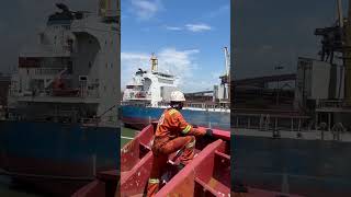 Cosco shipping bulk carrier ship shahrukhvlogs ship merchantvessel merchantmarine [upl. by Persons646]