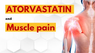 Atorvastatin and muscle pain myth or fact [upl. by Libys]