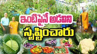 ఇంటిపైనే అడవిని సృష్టించారు Inspirational Gardener  Eeshwaramma [upl. by Kovacs]