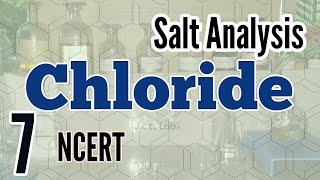 Identification of Chloride  Salt Analysis series NCERT [upl. by Lemieux]