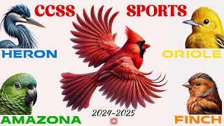 CCSS Official Sport Launch 202425 [upl. by Kenleigh]