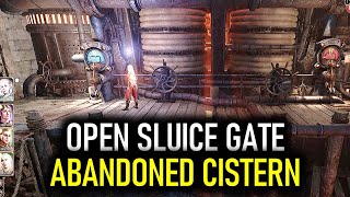 Sewer Cistern Sluice Gate Puzzle  Baldurs Gate 3 BG3 [upl. by Arteid798]