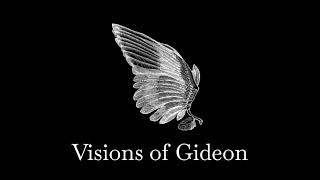 Visions of Gideon – Sufjan Stevens Harp  Piano Instrumental Cover [upl. by Chansoo]