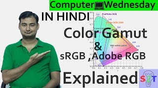 Color Gamut Explained In HINDI Computer Wednesday [upl. by Libbey]