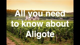 All you need to know about Aligote [upl. by Ramoh]