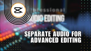 New CapCut Feature Separate Audio for Advanced Editing [upl. by Alemat]