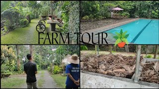 FARM amp RESORT TOUR LEARNING SITE [upl. by Romilda587]