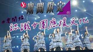 乃木坂 46 事隔6年再來香港  8分鐘帶你了解日本女團應援文化  參加演唱會原來要預備好多野  打Call應援色由淺入深睇完立即明  乃木坂46 香港 應援 演唱會 [upl. by Nelleeus602]