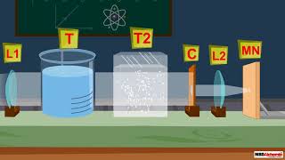 Scattering of Light  Physics  Class 10 [upl. by Justus]