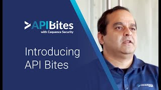 API Bites Episode 1  The Cequence Approach to API Protection [upl. by Lliw]