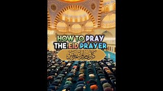 How to Pray the Eid Prayer [upl. by Artair777]