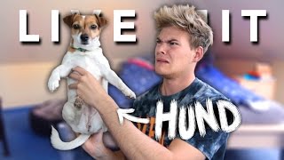 LIVE UND UNGESCHNITTEN mit Hund  Joeys Jungle [upl. by Chlori654]