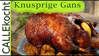 Knusprige Gans zubereiten Rezept für besten Gänsebraten [upl. by Wilber]