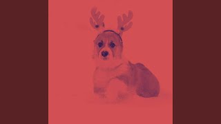 Groovy Music for Cooling Off Pups [upl. by Kellia]