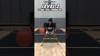 3 Ball Handling Drills For Up amp Coming Hoopers [upl. by Annie363]