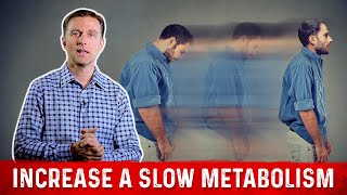 Slow Metabolism 4 Ways To Increase Your Metabolism – Dr Berg [upl. by Charlotte101]