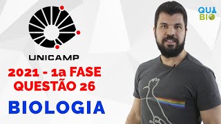 UNICAMP 2021  Questão 26  As doenças tropicais negligenciadas afetam principalmente as populações [upl. by Gairc]