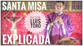 SANTA MISA EXPLICADA COMPLETA EN VIVO PADRE LUIS TORO desde BUENOS AIRES ARGENTINA [upl. by Aihsenyt]