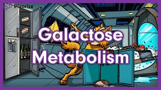 Galactose Metabolism Mnemonic  USMLE Preview [upl. by Noami]