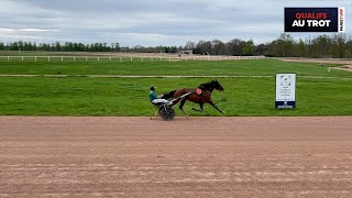 Qualifications Grosbois  Trot attelé  Lot 1 du 050424 [upl. by Nolyar120]