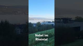 Bingen am Rhein Nebel im Rheintal [upl. by Tneicniv600]