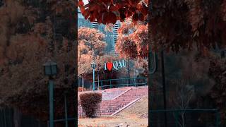 Zara Yahan Tou Ao Na  Quaid I Azam University Islamabad haidergraphy [upl. by Eissed]